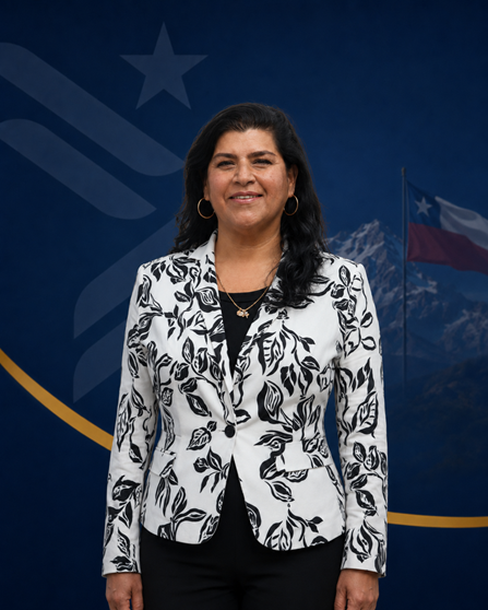 Vicepresidente